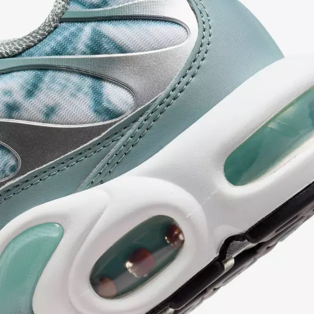 Nike Air Max Plus OG Shoes 'Waterway'