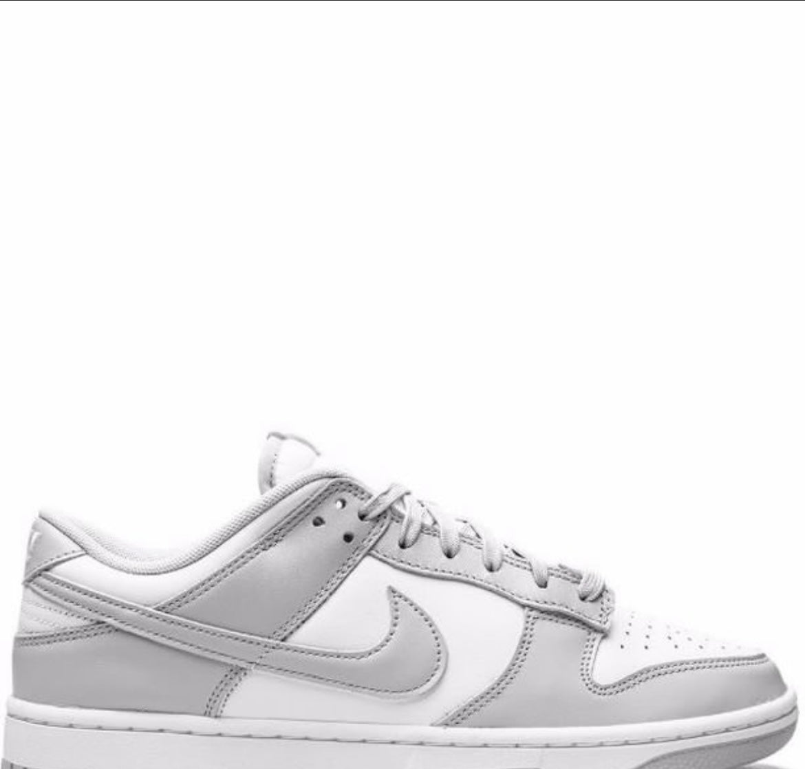 Dunk Low silhouette