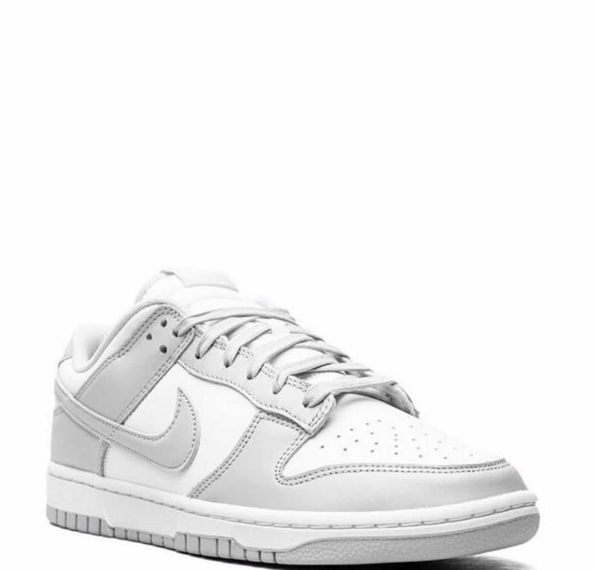 Dunk Low silhouette